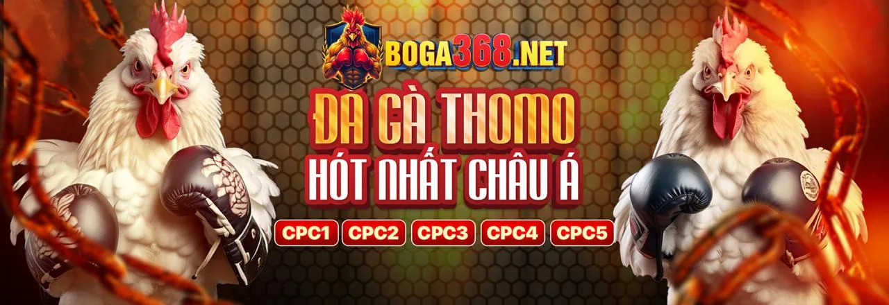 Tin tức mới nhất từ manclup nhà cái